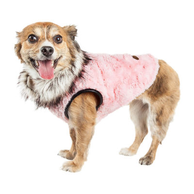 Jcpenney best sale dog clothes