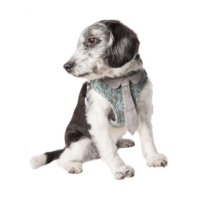 Vibrant life store dog harness