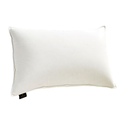 The Company Store Organic White Extra Firm Down Standard Pillow  PP45-STD-WHITE - The Home Depot