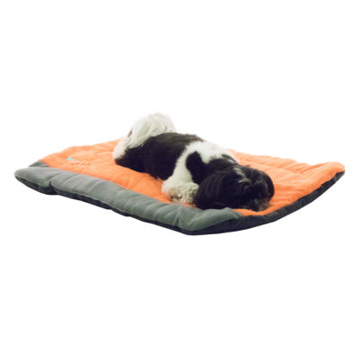 Jcpenney dog beds sale