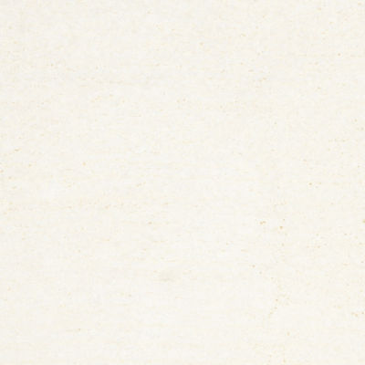 Safavieh Ultimate Shag Collection Gamal Solid AreaRug