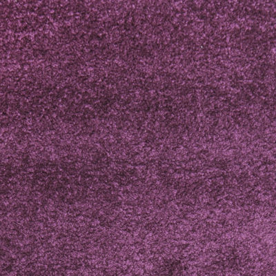 Safavieh Santa Monica Shag Collection Ainsley Solid Area Rug