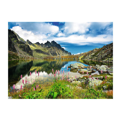 Trefl Puzzles - 3000 Piece Starolesnianski Pond Puzzle