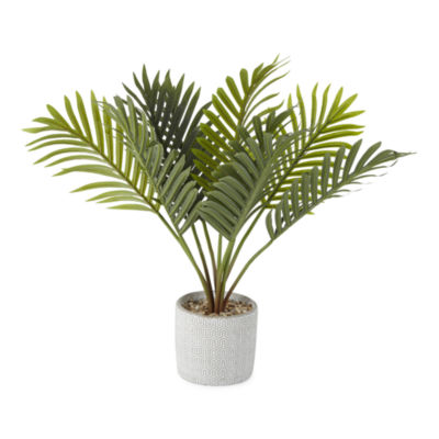 Distant Lands 20" Palm Artificial Plant, Color Green JCPenney