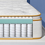 Simmons® Sleep Thrillzzz Plush Pillowtop - Mattress Only