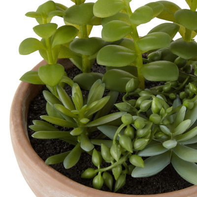 Linden Street "7.75"" Potted Succulent" Artificial Plant
