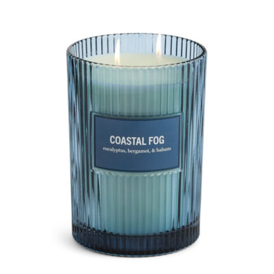 Martha Stewart 19oz Coastal Fog 2-Wick Scented Jar Candle