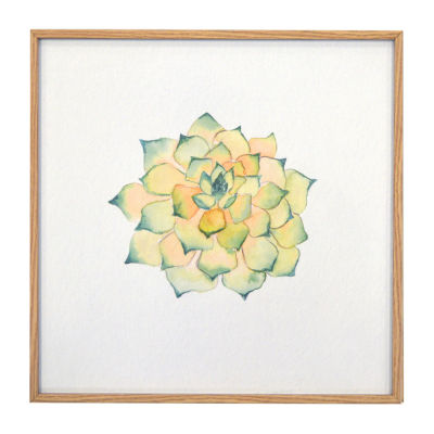 New View Colorful Succulent Framed ArtworkJCPenney, Color Green