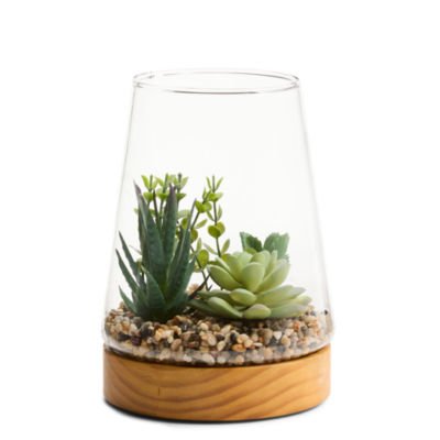 Linden Street 7in Mixed Succulent Terrarium Artificial Plant