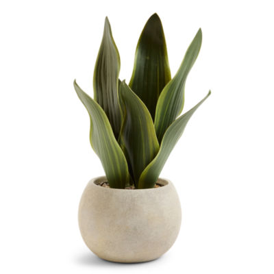 Linden Street 12in Snake Artificial Plant