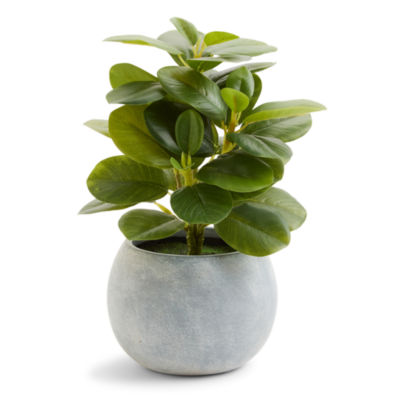 Linden Street 10.75in Rubber Artificial Plant