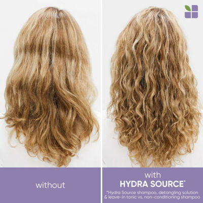 Biolage Hydra Source Leave in Conditioner-13.5 oz.