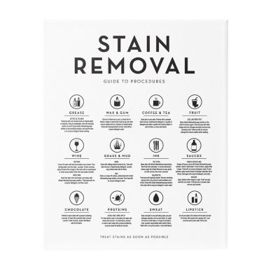 Stupell Industries Laundry Stain Removal Guide Canvas Art