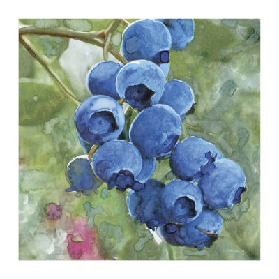 Lumaprints Blueberries Ii Traditional Canvas Art