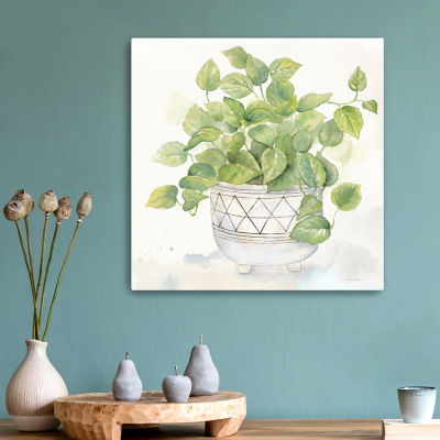 Lumaprints Houseplant I Philodendron Canvas Art