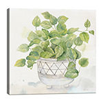 Houseplant I Philodendron Canvas Art