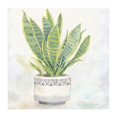 Houseplant IV Snake Plant Canvas Art