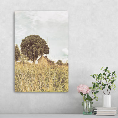 Lumaprints Grass And Sky Light Canvas Art