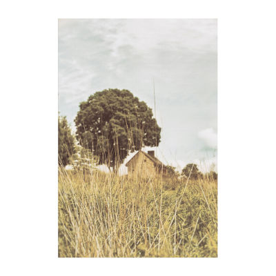 Lumaprints Grass And Sky Light Canvas Art