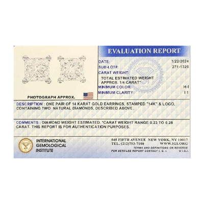 Premier Collection 1/4 CT. T.W. Natural Princess-Cut Diamond Stud Earrings