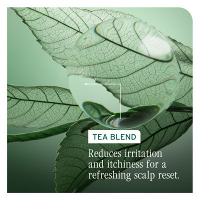 Biolage Scalp Sync Purifying Concentrate Scalp Treatment 6.8 oz.