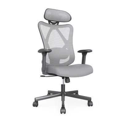 Office + Library Collection Adjustable Height Office Chair