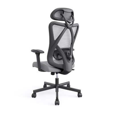 Office + Library Collection Adjustable Height Office Chair