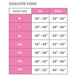 Exquisite Form 2-pack Moderate Control Jacquard Shaper Briefs Plus - 51070557XA