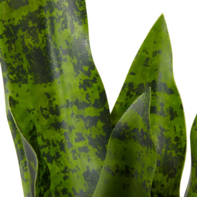 Linden Street 21" Snake Artificial Plant