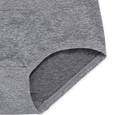 Maidenform Seamless Hipster Panty J4101