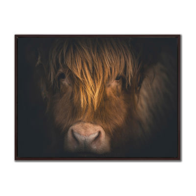 Streamline Art Highland Focus Framed Canvas Art