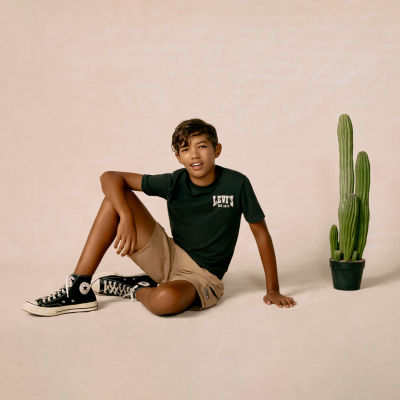 Levi's® Big Kid Boys Crew Neck Short Sleeve Regular Fit Graphic T-Shirt