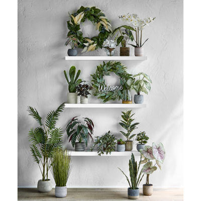 Linden Street 8in Tradescantia Trailing Artificial Plant