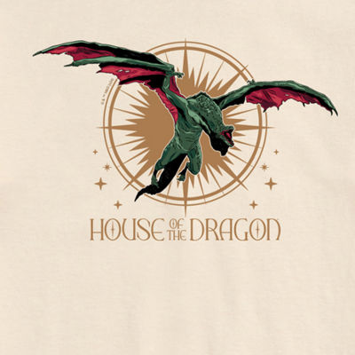 Mens Short Sleeve House of the Dragon Graphic T-Shirt