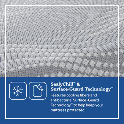 Sealy Lacey 13.25" Hybrid Plush Tight Top - Mattress + Box Spring