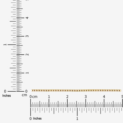 Womens 10K Gold Inch Box Chain Necklace