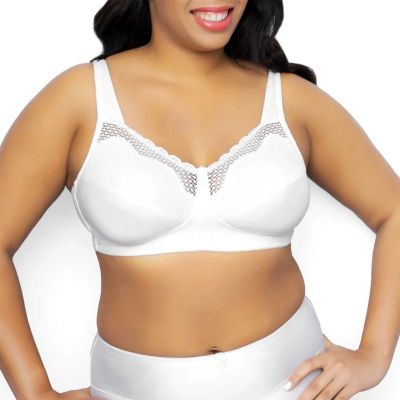 sears exquisite bras