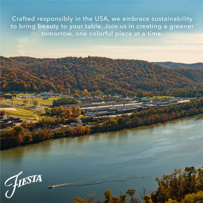 Fiesta All-Purpose Gusto Soup Bowl