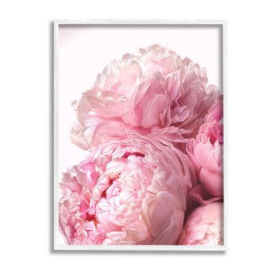 Stupell Industries Blush Pink Peony Florals Framed Print