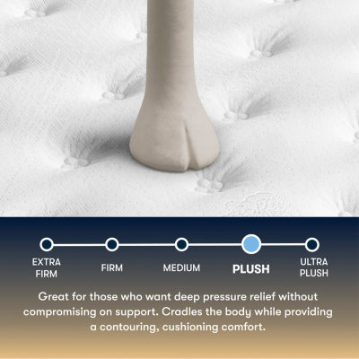 The Serta Perfect Sleeper Beechdale 12.5" Plush Tight Top