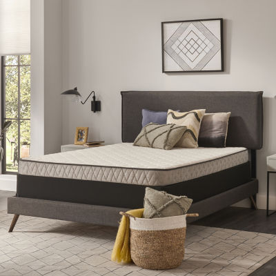 Sealy Masterbrand Essentials Handfield 5.5" Medium Tight Top - Mattress + Box Spring