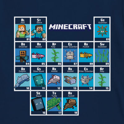 Little & Big Boys Crew Neck Short Sleeve Minecraft Graphic T-Shirt