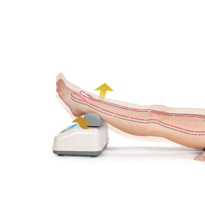 Daiwa Felicity Aerobic Exerciser