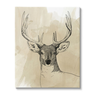 Stupell Industries Deer Portrait Drawing Canvas Art