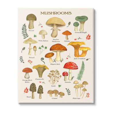 Stupell Industries Foraging Mushrooms Studies Canvas Art