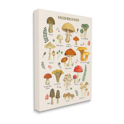 Stupell Industries Foraging Mushrooms Studies Canvas Art