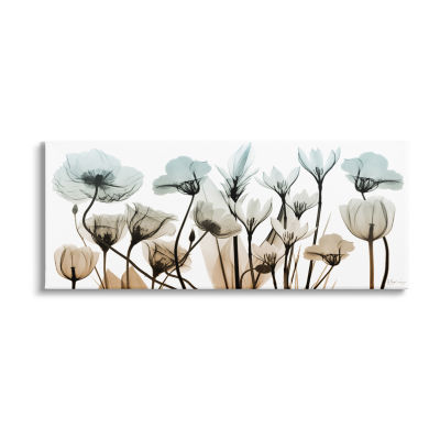 Stupell Industries Mixed X-Ray Flowers Canvas Art