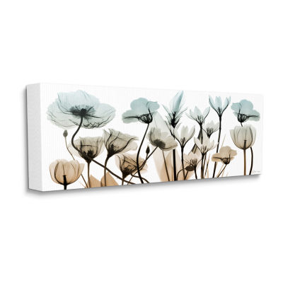 Stupell Industries Mixed X-Ray Flowers Canvas Art
