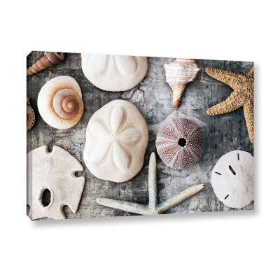 Brushstone Treasures From The Sea Gallery Wrapped Canvas Wall Art