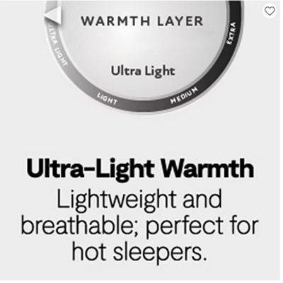 Madison Park Egyptian Cotton Blanket